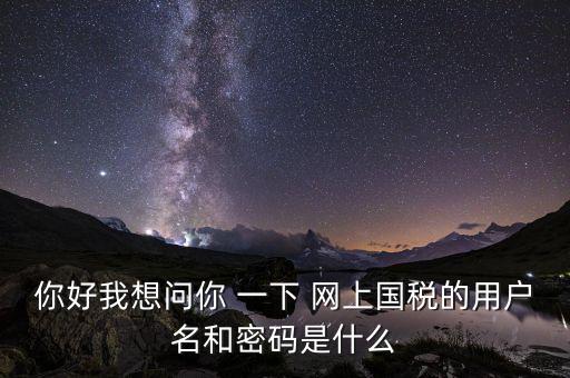 網上稅務辦理密碼是什么意思，國稅第一次網上申報的登陸密碼是什么