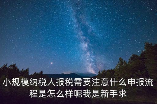 報(bào)稅需要注意什么手續(xù)，一般納稅人每個(gè)月怎么報(bào)稅報(bào)稅時(shí)要注意什么流程是怎么樣的