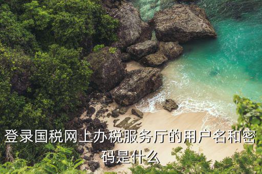 河北省地稅登陸的用戶名是什么，登錄國稅網(wǎng)上辦稅服務(wù)廳的用戶名和密碼是什么