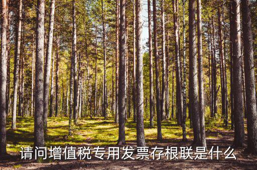 發(fā)票存根聯(lián)是什么，發(fā)票存根聯(lián)是按發(fā)票購領本上領購的本數(shù)裝訂還是25張裝訂一冊