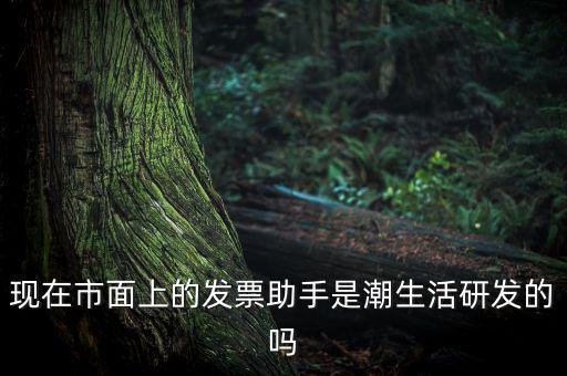 國(guó)稅發(fā)票助手是干什么的，現(xiàn)在市面上的發(fā)票助手是潮生活研發(fā)的嗎
