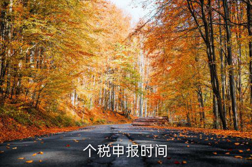 個(gè)人經(jīng)營(yíng)所得稅什么時(shí)候申報(bào)，個(gè)人所得稅明細(xì)申報(bào)什么時(shí)候報(bào)