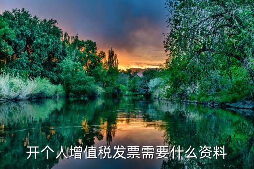 個(gè)人發(fā)票要帶什么資料，個(gè)人購(gòu)物開增值稅普通發(fā)票需要什么資料