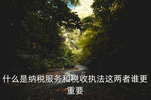 地稅納服是做什么，求助地稅納稅服務這個崗位有發(fā)展前景么