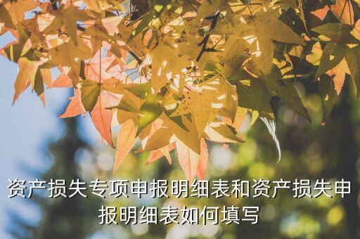 什么是專項資產(chǎn)損失申報表，所得稅申報表怎么填22資產(chǎn)損失