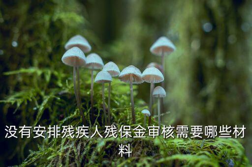 福建殘保金備案需要什么資料，求助2012年殘保金申請(qǐng)流程