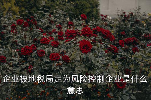 稅收風(fēng)險(xiǎn)控制是什么，稅務(wù)風(fēng)險(xiǎn)管理的稅務(wù)風(fēng)險(xiǎn)管理制度
