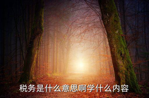 稅務(wù)中介是什么，稅務(wù)師事務(wù)所屬于什么行業(yè)
