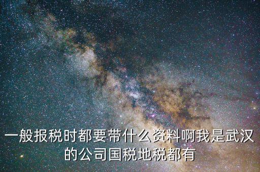 武漢國稅年報是什么，武漢市地稅國稅報稅截至日期分別是什么時候