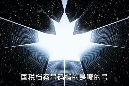 國(guó)稅號(hào)碼是什么，什么是國(guó)稅檔案號(hào)