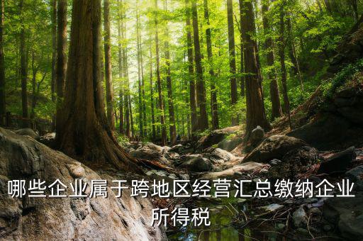 跨地區(qū)經營匯總納稅指的是什么，哪些企業(yè)屬于跨地區(qū)經營匯總繳納企業(yè)所得稅