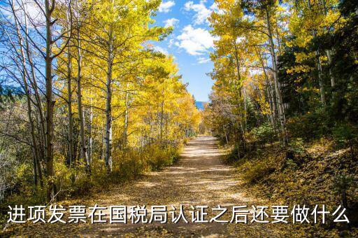 稅務(wù)認(rèn)定之后做什么，新辦企業(yè)稅務(wù)登記證下來后接下來會計該做些什么工作