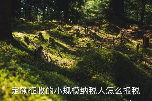 小規(guī)模納稅人 什么定額申報(bào)，定額征收的小規(guī)模納稅人怎么報(bào)稅