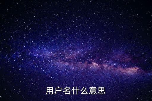 微稅用戶名是什么意思啊，用戶名什么意思