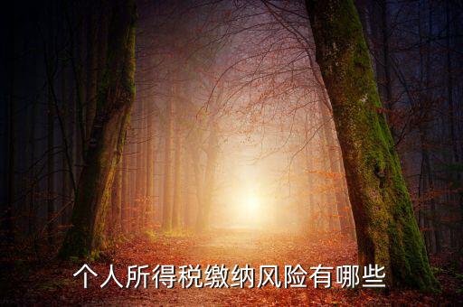 所得稅申報時有什么風(fēng)險提示，個人所得稅繳納風(fēng)險有哪些