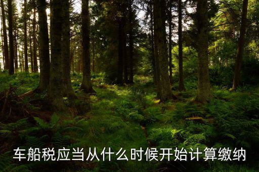 車船什么時間申報，車船稅應當在什么時候申報繳納 承德