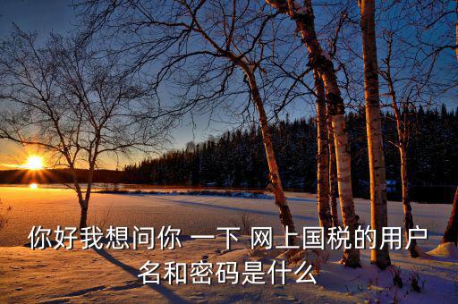 電子稅務(wù)的賬號(hào)密碼是什么，你好我想問你 一下 網(wǎng)上國稅的用戶名和密碼是什么