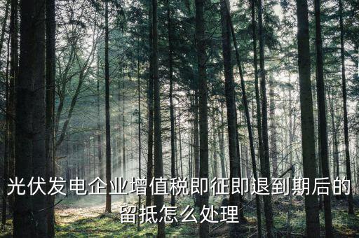 光伏企業(yè)即征即退是什么意思，請問即征既退是什么意思需要溝選嗎