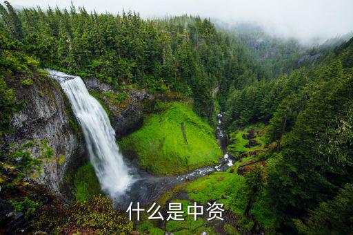 什么是境外中資控股居民，境外注冊中資控股居民企業(yè)和非境內注冊居民企業(yè)區(qū)別
