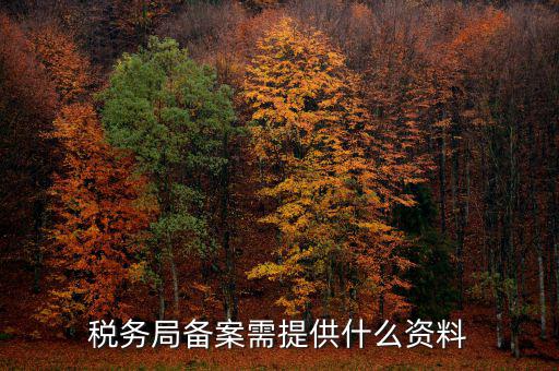 稅務局備案需提供什么資料，稅務局備案需提供什么資料