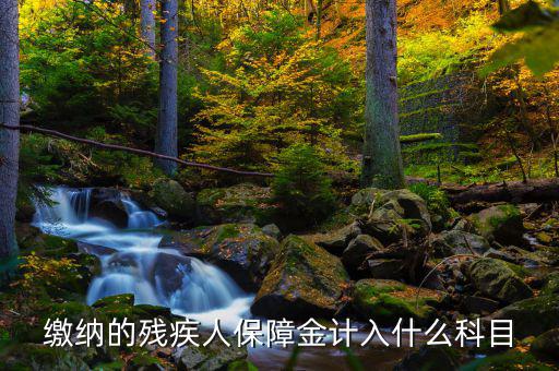 殘疾人就業(yè)保障金稅目是什么，殘疾人就業(yè)保障金應(yīng)計什么會計科目