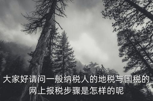 地稅用戶名是什么河北，我是新手如何使用河北地稅網(wǎng)網(wǎng)上報稅知道的老師請告知謝了