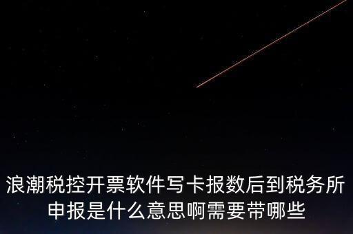 浪潮稅控開票軟件寫卡報數(shù)后到稅務(wù)所申報是什么意思啊需要帶哪些