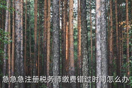 廣東省稅務師會費什么時候交，廣州2013年的匯算清繳報告什么時候交