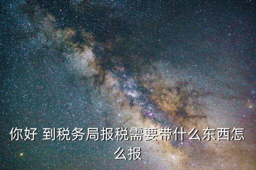 你好 到稅務局報稅需要帶什么東西怎么報