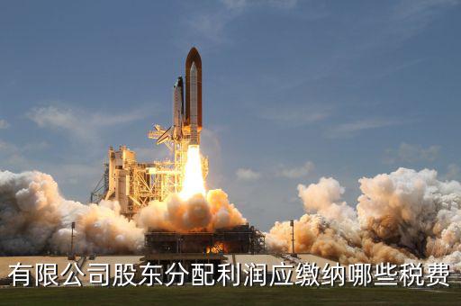 公司股東需要交什么稅，有限公司股東分配利潤應繳納哪些稅費