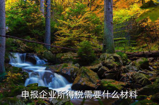 企業(yè)所得稅補申報需要什么，申報企業(yè)所得稅需要什么材料