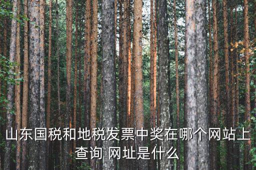 發(fā)票領(lǐng)用什么網(wǎng)站，誰知道發(fā)票兌獎上那個網(wǎng)站