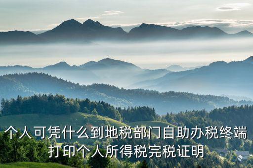 稅務局自助辦稅服務終端是什么，自助辦稅終端 報稅