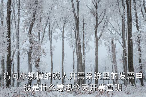 開票申報是什么原因，納稅申報出現(xiàn)的問題高手來解