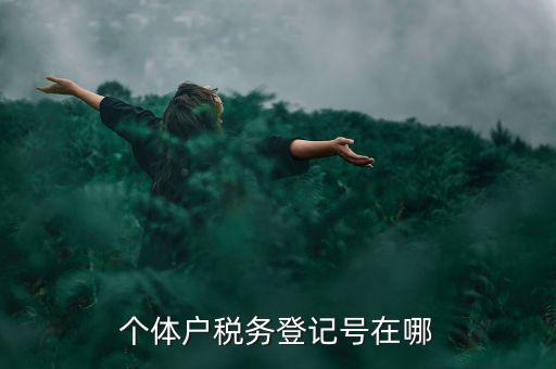 個(gè)體戶稅務(wù)登記號在哪