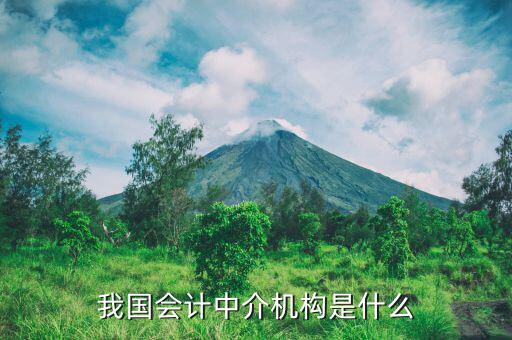 什么是涉稅中介機(jī)構(gòu)，我國會(huì)計(jì)中介機(jī)構(gòu)是什么