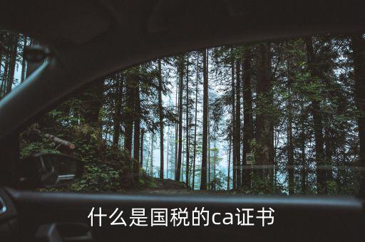 ca稅務(wù)數(shù)字證書是什么，什么是國(guó)稅的ca證書