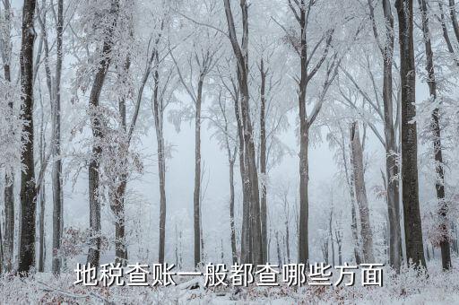 稅務(wù)實地核查都查什么，小規(guī)模轉(zhuǎn)一般納稅人稅務(wù)機關(guān)實地查驗都有些什么內(nèi)容