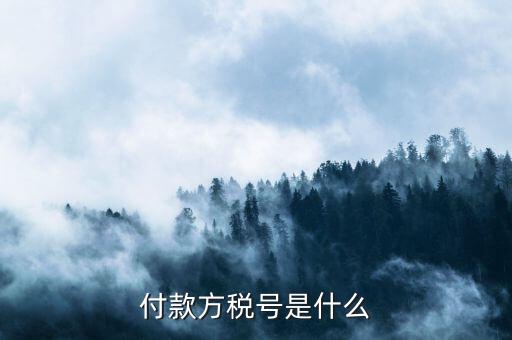 付款人稅號(hào)是什么，轉(zhuǎn)賬稅號(hào)指的是什么