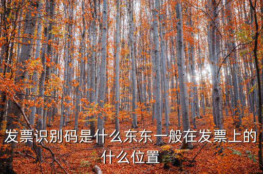 河北發(fā)票識別碼是什么意思，發(fā)票的識別碼是不是繳稅單位的稅號
