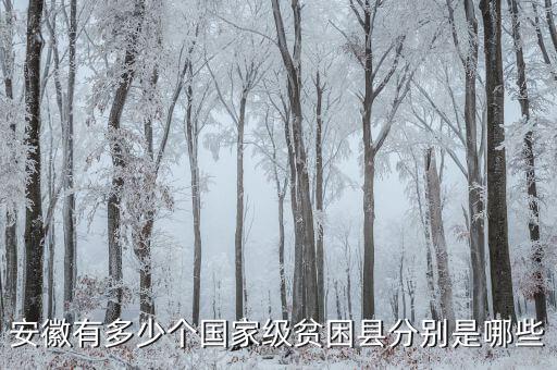 壽縣稅務局在什么地方，壽縣在什么地方