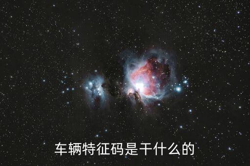 稅政科是干什么的，稅務(wù)局里的稅政科和征管科都有哪些功能