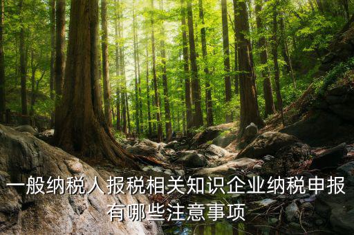 一般納稅人報稅相關(guān)知識企業(yè)納稅申報有哪些注意事項