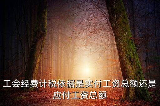 工會經費計稅依據(jù)是實付工資總額還是應付工資總額