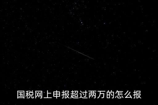 國稅網(wǎng)報入口是什么，怎樣才能進(jìn)入小規(guī)模納稅人增值稅網(wǎng)上申報系統(tǒng)