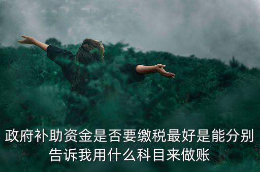 政府補(bǔ)貼交什么稅，關(guān)于政府補(bǔ)助的納稅問(wèn)題 請(qǐng)高手來(lái)回答啊 謝謝