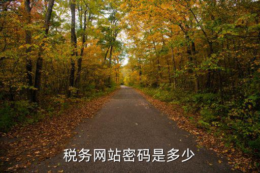 國稅登陸用戶名密碼是什么，電子稅務(wù)局密碼怎么查