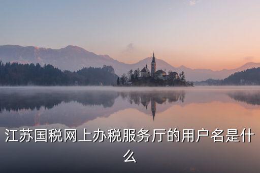 網(wǎng)上辦稅平臺(tái)帳號(hào)是什么，地稅網(wǎng)上申報(bào)用什么帳號(hào)