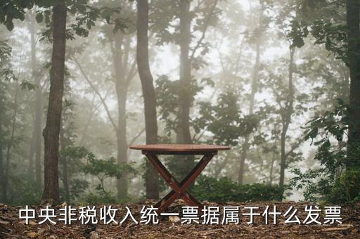 中央非稅收入統(tǒng)一票據(jù)屬于什么發(fā)票