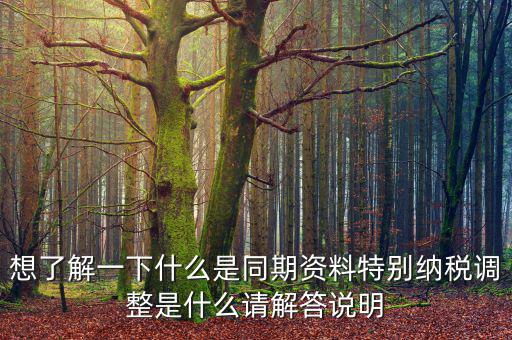 關(guān)聯(lián)申報(bào)同期資料是什么，想了解一下什么是同期資料特別納稅調(diào)整是什么請解答說明